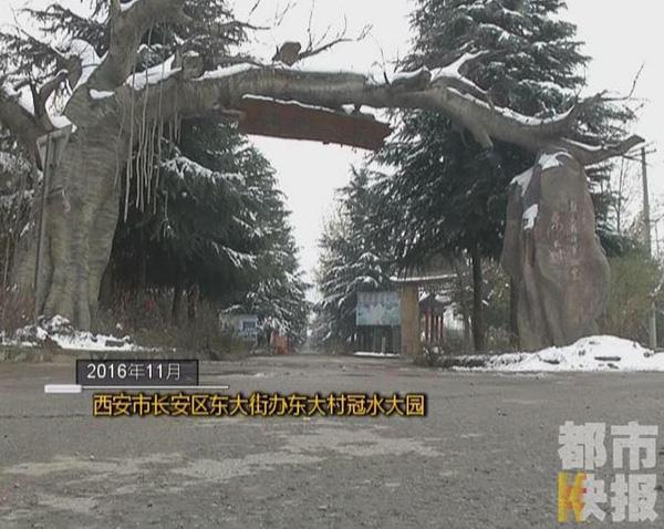 陕西山阳政协副主席被指建33亩神秘庄园 形似宫殿