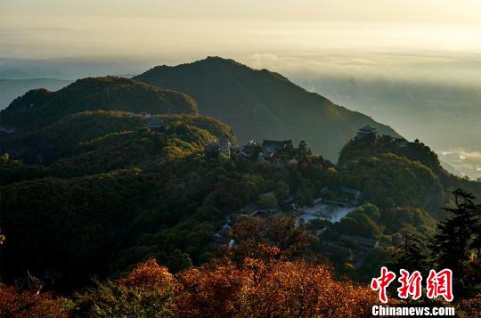 图为太阳升起，漫山灿烂。　徐振华 摄